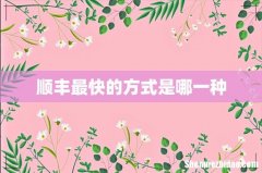 顺丰最快的方式是哪一种