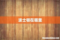 波士顿在哪里