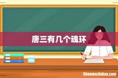 唐三有几个魂环