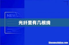 光纤里有几根线