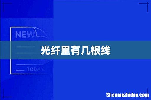 光纤里有几根线