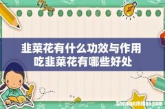 韭菜花有什么功效与作用 吃韭菜花有哪些好处