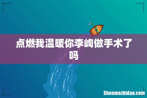 点燃我温暖你李峋做手术了吗