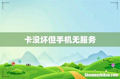 卡没坏但手机无服务