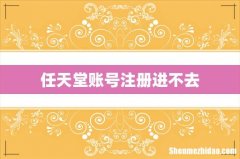任天堂账号注册进不去