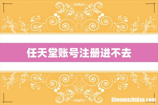 任天堂账号注册进不去