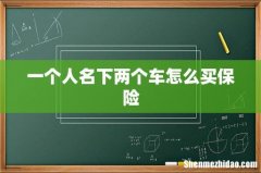 一个人名下两个车怎么买保险