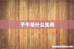 子午是什么生肖
