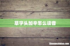 草字头加辛怎么读音