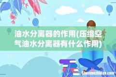 压缩空气油水分离器有什么作用 油水分离器的作用