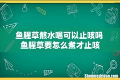 鱼腥草熬水喝可以止咳吗 鱼腥草要怎么煮才止咳