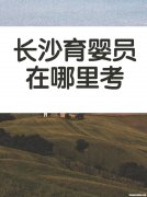 长沙高级育婴师国家有什么补贴 长沙高级育婴师培训一般去哪培训