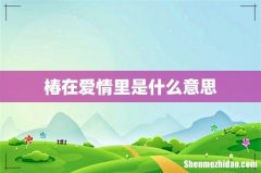 椿在爱情里是什么意思