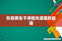形容男生干净阳光温暖的成语