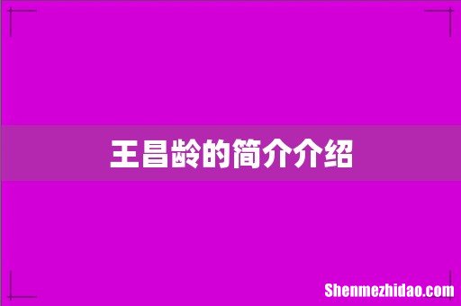 王昌龄的简介介绍