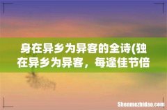 独在异乡为异客，每逢佳节倍思亲。全诗意思。 身在异乡为异客的全诗