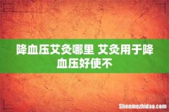 降血压艾灸哪里 艾灸用于降血压好使不