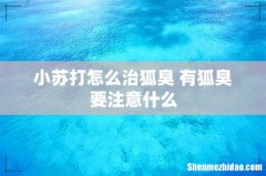 小苏打怎么治狐臭 有狐臭要注意什么