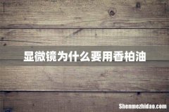 显微镜为什么要用香柏油