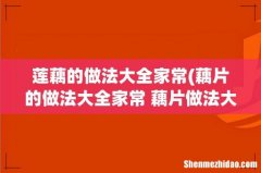 藕片的做法大全家常 藕片做法大全家常 莲藕的做法大全家常