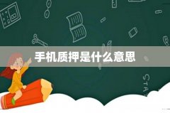 手机质押是什么意思