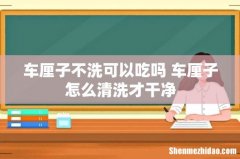 车厘子不洗可以吃吗 车厘子怎么清洗才干净