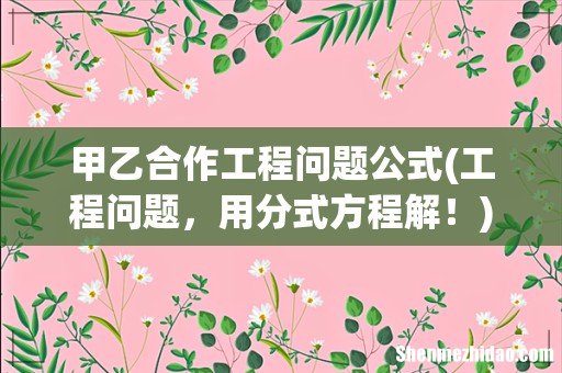 工程问题,用分式方程解! 甲乙合作工程问题公式