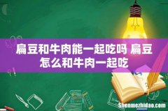 扁豆和牛肉能一起吃吗 扁豆怎么和牛肉一起吃