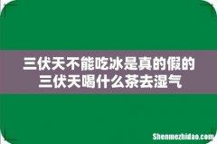 三伏天不能吃冰是真的假的 三伏天喝什么茶去湿气