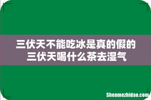 三伏天不能吃冰是真的假的 三伏天喝什么茶去湿气