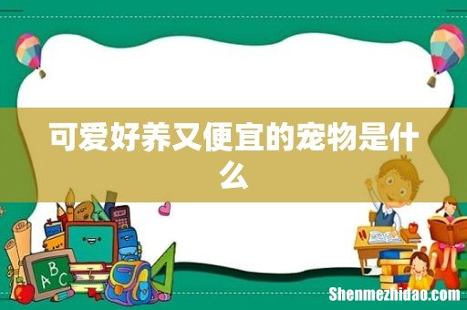 可爱好养又便宜的宠物是什么