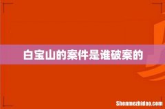 白宝山的案件是谁破案的