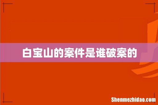 白宝山的案件是谁破案的