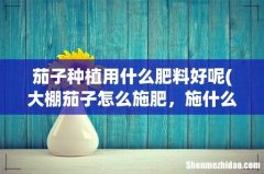 大棚茄子怎么施肥，施什么肥好 茄子种植用什么肥料好呢