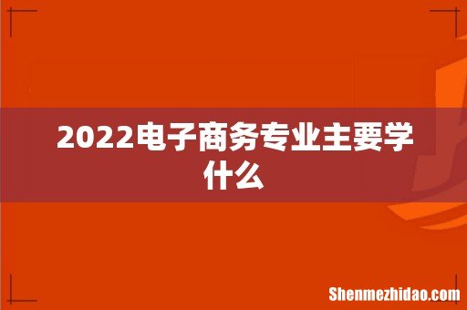 2022电子商务专业主要学什么