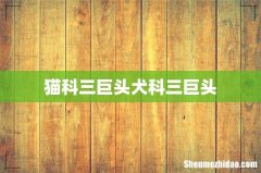 猫科三巨头犬科三巨头