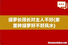家里种绿萝好不好风水 绿萝长得长对主人不好