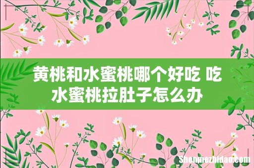 黄桃和水蜜桃哪个好吃 吃水蜜桃拉肚子怎么办