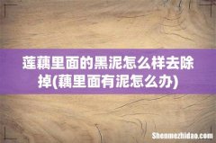 藕里面有泥怎么办 莲藕里面的黑泥怎么样去除掉