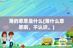 薄什么意思啊，不认识。 薄的意思是什么