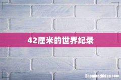 42厘米的世界纪录