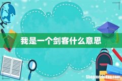 我是一个剑客什么意思