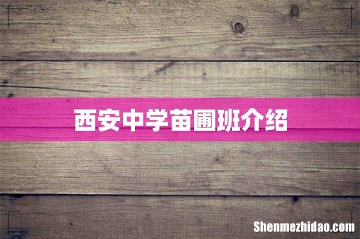 西安中学苗圃班介绍