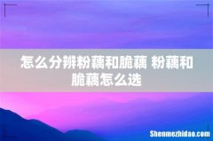 怎么分辨粉藕和脆藕 粉藕和脆藕怎么选