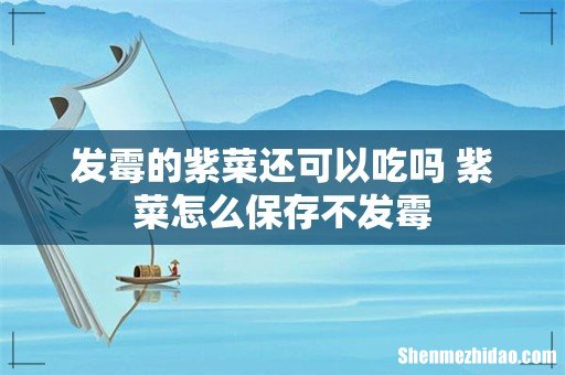发霉的紫菜还可以吃吗 紫菜怎么保存不发霉