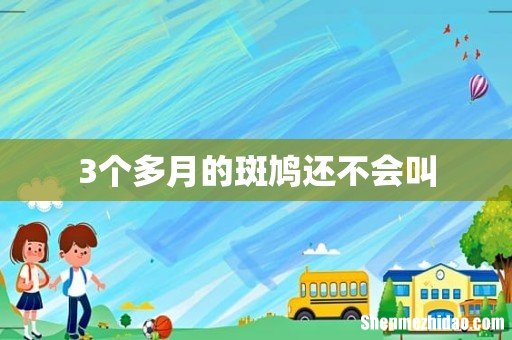 3个多月的斑鸠还不会叫