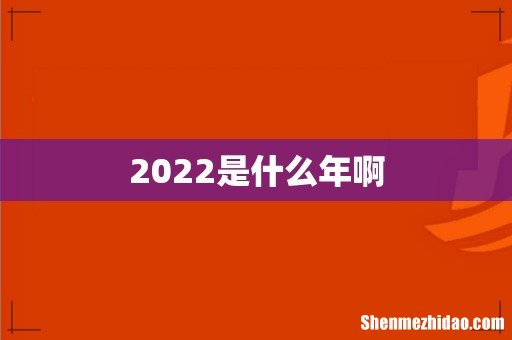 2022是什么年啊