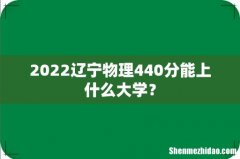 2022辽宁物理440分能上什么大学？