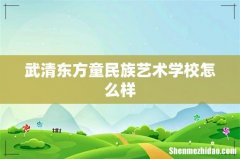 武清东方童民族艺术学校怎么样
