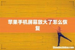 苹果手机屏幕放大了怎么恢复